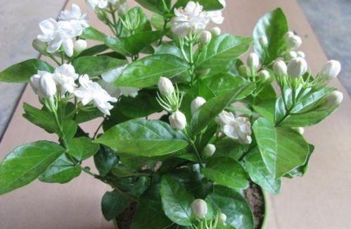 宁愿多花20块钱， 也别贪便宜