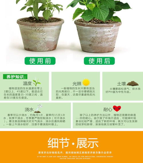 花卉通肥料的优点