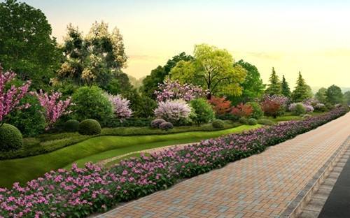 园林：自然与艺术的完美结合