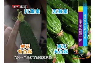 农药残留降解周期长