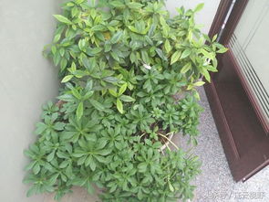 保温，冬天也要温暖如春