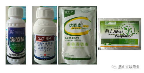 防范乙草胺接触过敏，有哪些小技巧呢？