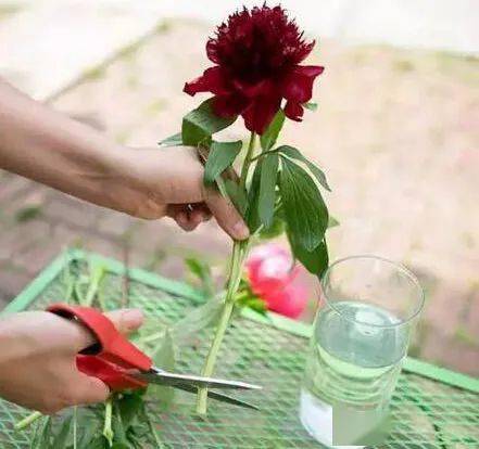 第一步：保持冷静，评估情况