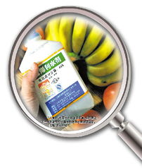 农药残留量低于标准就是平安的， Ke以放心食用