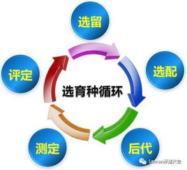 智能种猪测定系统，精准育种