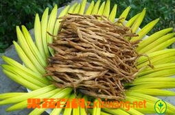 黄花菜功效显著，食用需谨慎