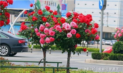 管理因素，得用心