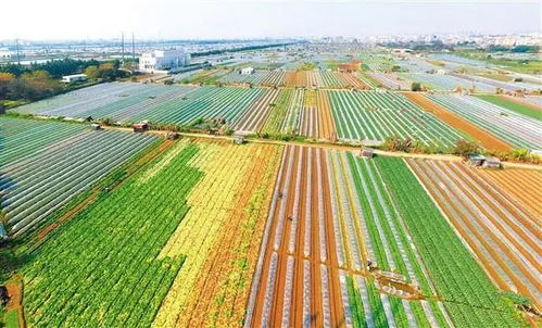 停机坪区域特殊处理