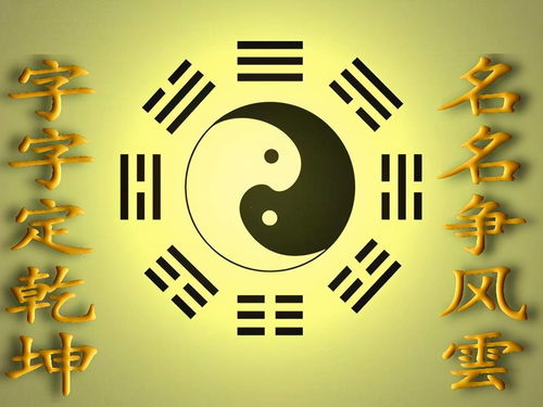 金虎花的风水寓意和作用具体有哪些象征意义