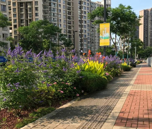 精心挑选， 只为湖南的美丽