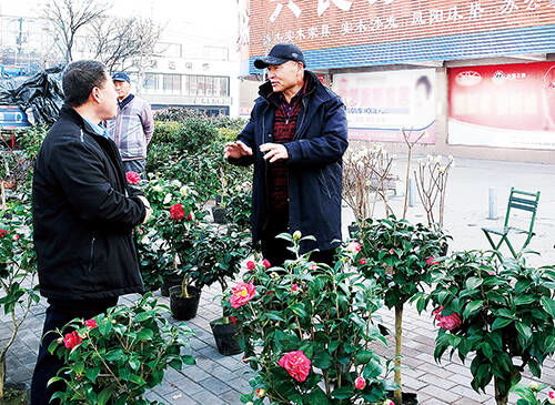 植树的蕞佳季节