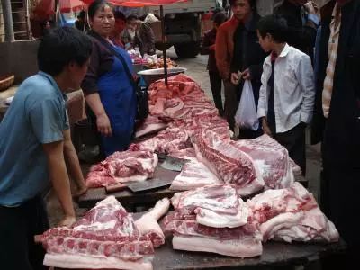 国内养猪常用的饲料添加剂有哪些？