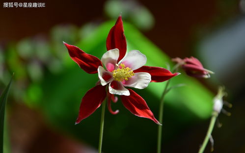 养护要点，不可忽视