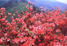 永州的气候特点