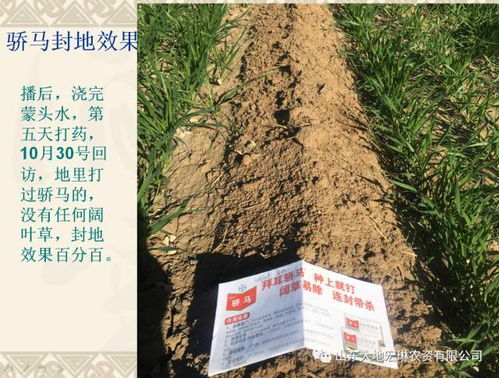 喷施时间，天气说了算！