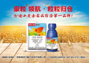 小麦开花后打药的Zui佳时机揭秘！