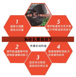微生态制剂优化肠道菌群，提升饲料消化吸收
