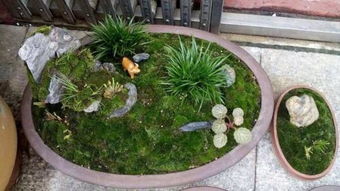 第二步：准备“土壤”