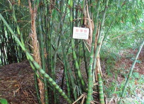 使用农药的注意事项