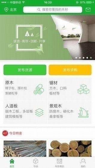 亲近自然 从了解树木开始