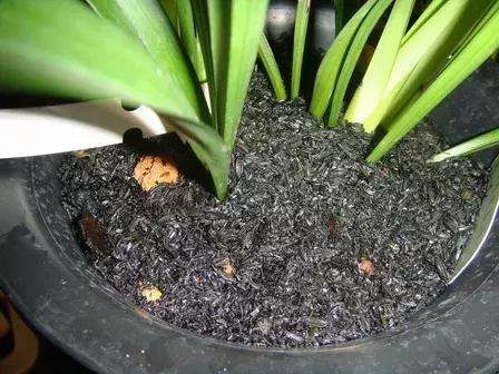 防范与治疗并行