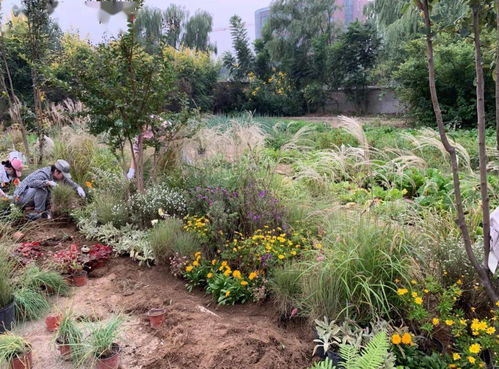 风景园林硕士的学科归类：一场绿色的思考