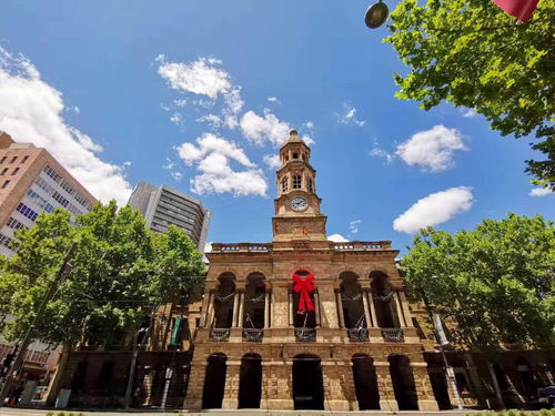 阿德莱德大学：揭秘其在哪个城市？