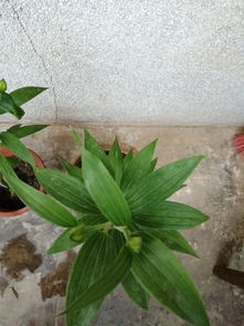 第三步：摸手感