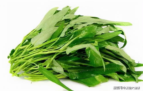 百菌清农药的用途