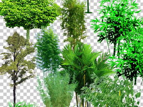 绿化组团搭配，细节决定成败