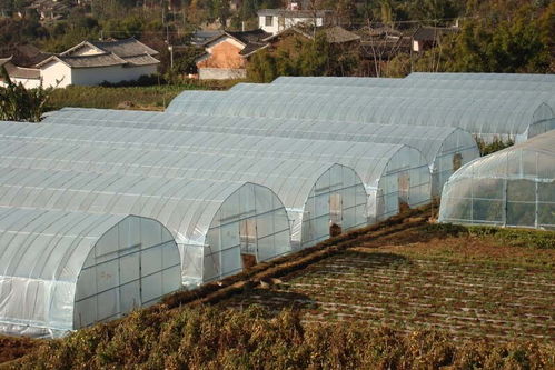 温室大棚的便利