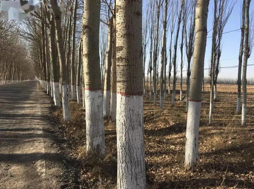 调节温度，防止开裂