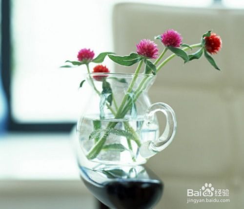 创新花卉养护：非药物防虫贮粮法，让您的花朵更健康！