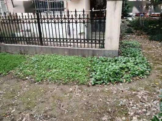 北方小区绿化要考虑的因素