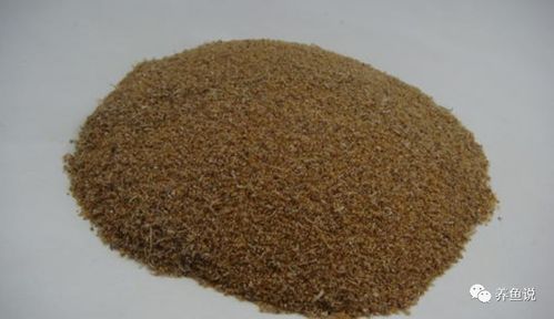 鱼粉是由哪些鱼类加工而成的？