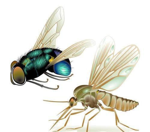 一、农药种类介绍