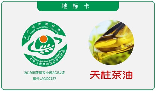 茶油OEM供应：如何成为茶叶行业的代理商？