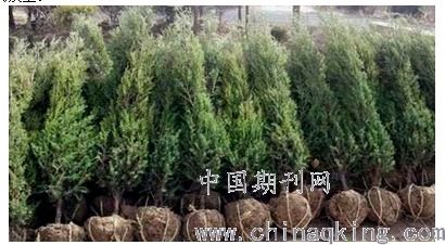 反季节绿化工程的重要性