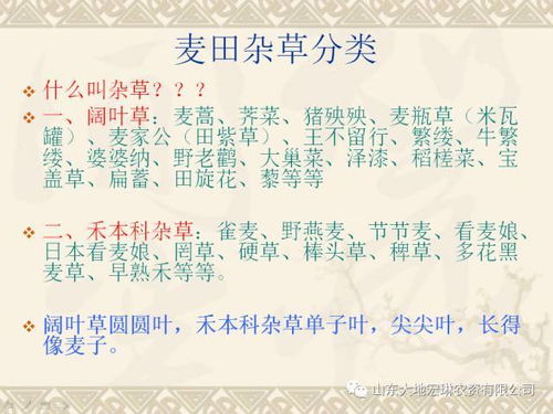 气温对药效的影响