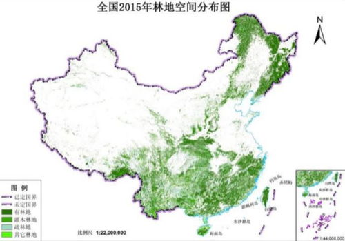 橡树，那神秘的树