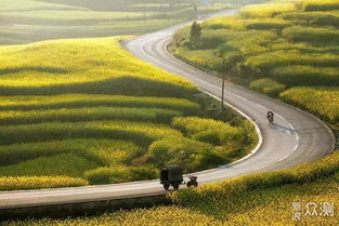 立体景观， 城市的生命力