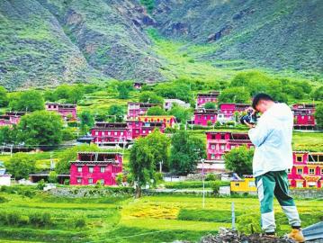 种植技巧与注意事项