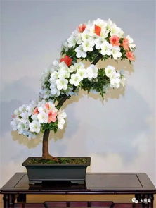 冬季养护紫蓝杜鹃要点