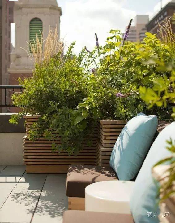 200天花开不败——美丽绽放， 让阳台庭院成为风景