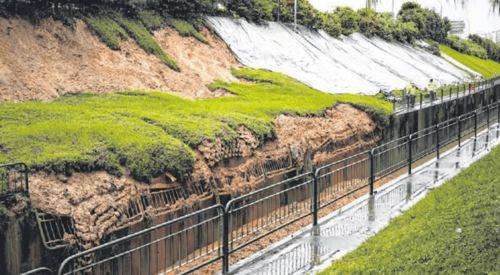 网友提问：哪些植物嫩防止水土流失？