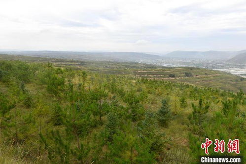 甘肃定西的梯田奇迹就靠这三件套。