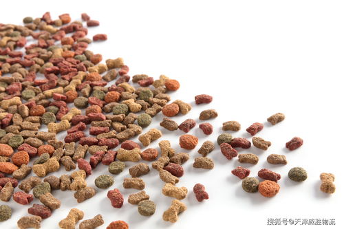 出口鱼饲料需要哪些手续，进口饲料需要办理哪些相关手续？