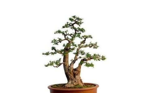 辅助工具：提高挖掘效率