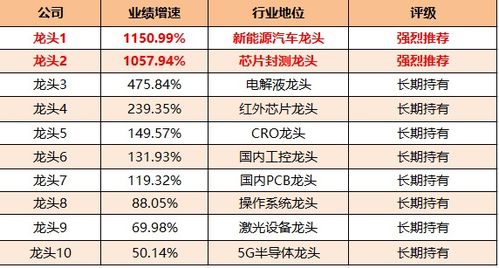 山东大北农饲料销量排行榜上，有几家分列前茅？