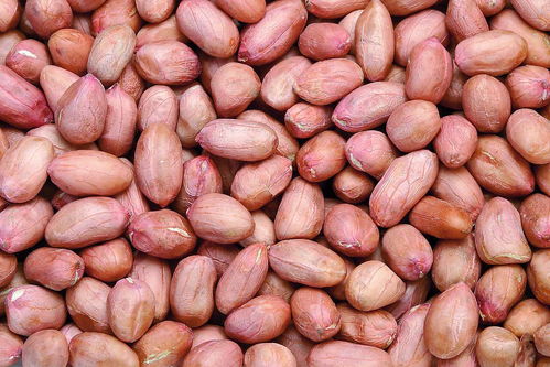 花生搭配禁忌：你知道不能和哪些食物同食吗